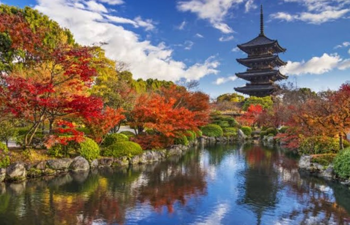 Cara Nikmati Iluminasi Malam Kyoto Saat Musim Gugur 2026