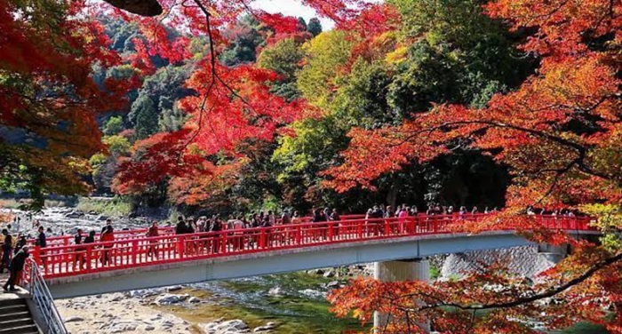 Ryokotomo - Inilah Spot Momijigari Terbaik di Jepang pada Musim Gugur 2026 6ac9925472b83 Inilah Spot Momijigari Terbaik Di Jepang Pada Musim Gugur 2026