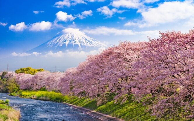 
					Itinerary 7 Hari Di Jepang Musim Gugur 2026: Rute Tokyo – Kawaguchiko – Kyoto