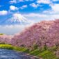 Itinerary 7 Hari Di Jepang Musim Gugur 2026: Rute Tokyo – Kawaguchiko – Kyoto
