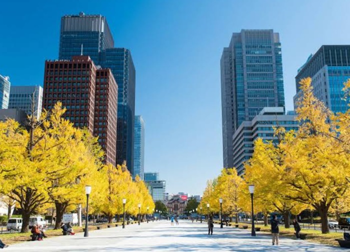 Ryokotomo - Itinerary 7 Hari di Jepang Musim Gugur 2026 Rute Tokyo Kawaguchiko Kyoto 6ac4ade585aba Itinerary 7 Hari Di Jepang Musim Gugur 2026: Rute Tokyo – Kawaguchiko – Kyoto