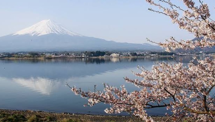Ryokotomo - Itinerary 7 Hari di Jepang Musim Gugur 2026 Rute Tokyo Kawaguchiko Kyoto 6ac4ae1c87697 Itinerary 7 Hari Di Jepang Musim Gugur 2026: Rute Tokyo – Kawaguchiko – Kyoto