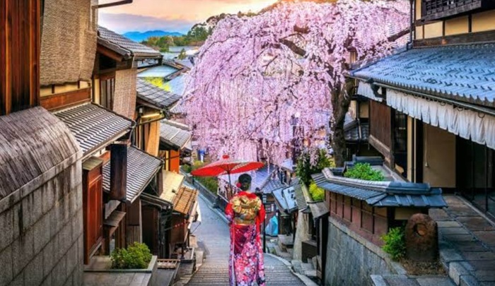 Ryokotomo - Itinerary 7 Hari di Jepang Musim Gugur 2026 Rute Tokyo Kawaguchiko Kyoto 6ac4ae53869fb Itinerary 7 Hari Di Jepang Musim Gugur 2026: Rute Tokyo – Kawaguchiko – Kyoto