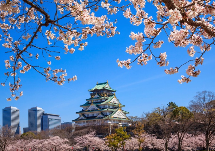 Ryokotomo - Itinerary 7 Hari di Jepang Musim Gugur 2026 Rute Tokyo Kawaguchiko Kyoto 6ac4aed1c43a9 Itinerary 7 Hari Di Jepang Musim Gugur 2026: Rute Tokyo – Kawaguchiko – Kyoto