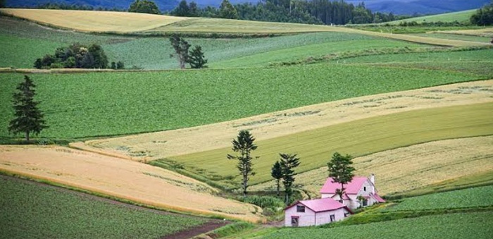Ryokotomo - Rekomendasi Destinasi Daun Merah Terawal di Hokkaido untuk Liburan 6ac84e3c9271a Rekomendasi Destinasi Daun Merah Terawal Di Hokkaido Untuk Liburan