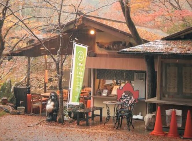 
					Rekomendasi Kafe Estetik Musim Gugur Di Tokyo Dengan Menu Spesial 2026