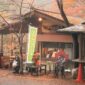 Rekomendasi Kafe Estetik Musim Gugur Di Tokyo Dengan Menu Spesial 2026